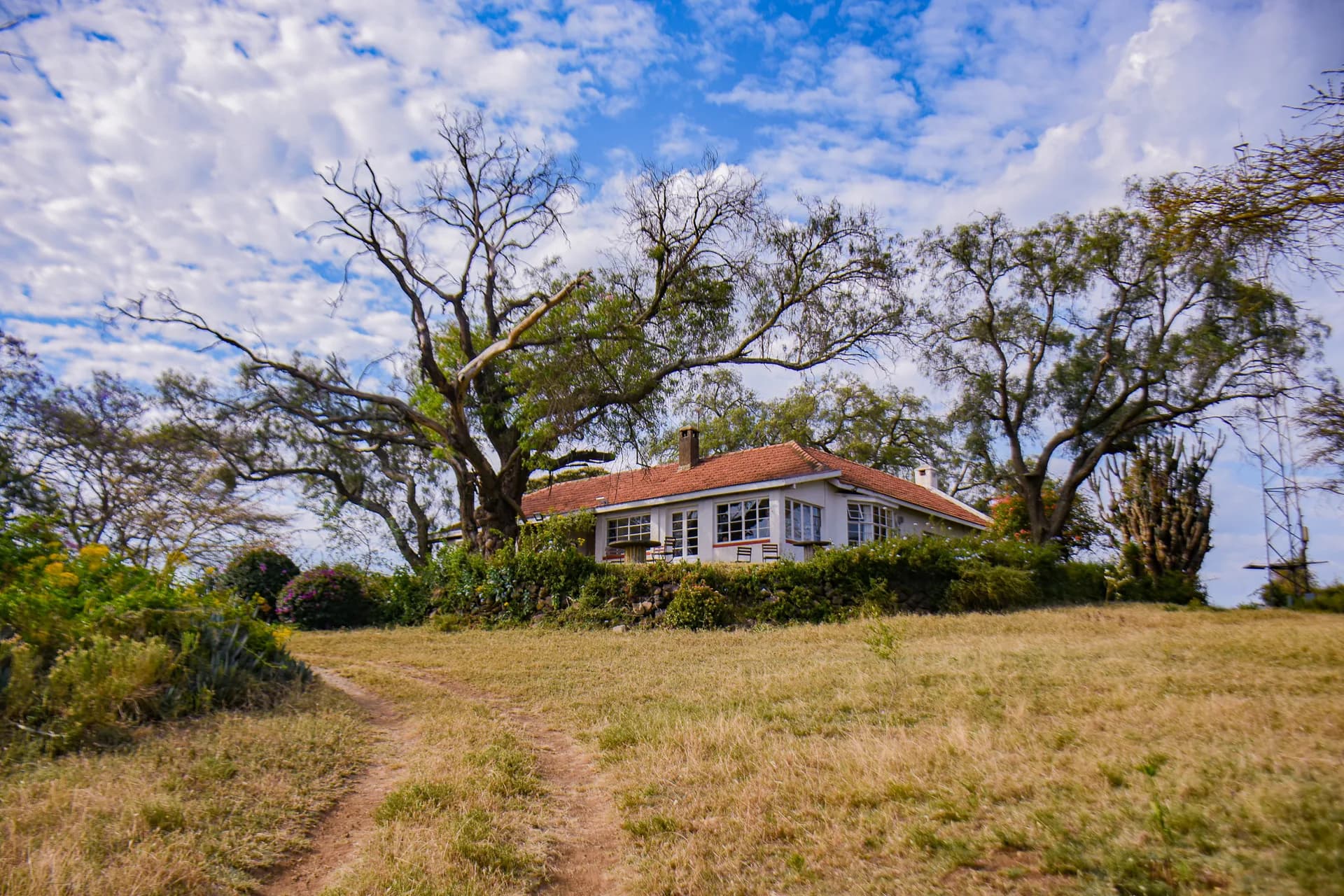 Crescent Island Giraffe House